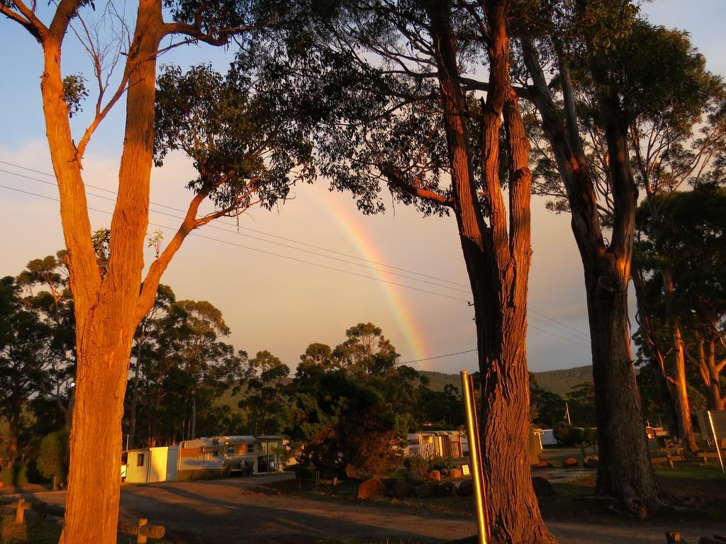 Captain Cook Holiday Park Adventure Bay Esterno foto